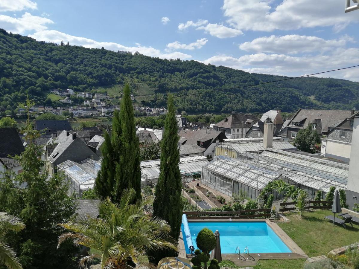 Gasthuis Weingut Stiftshof Enkirch