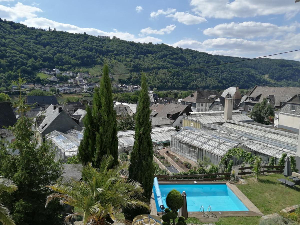 Gasthuis Weingut Stiftshof *