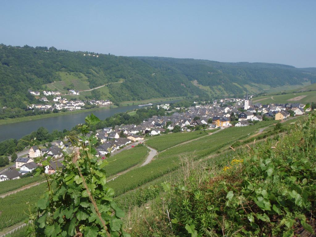 Gasthuis Weingut Stiftshof *