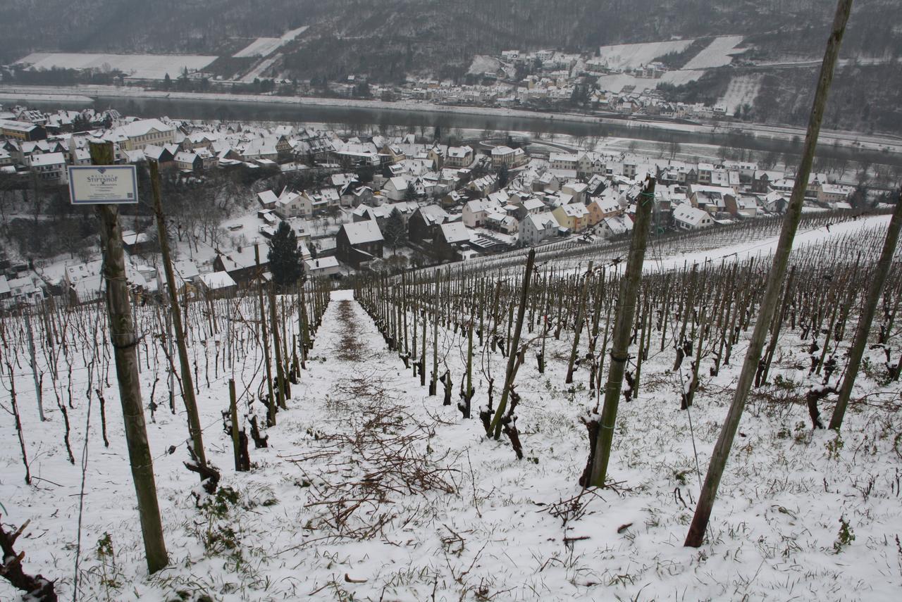Weingut Stiftshof Gasthuis